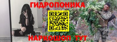 стафф Чебоксары