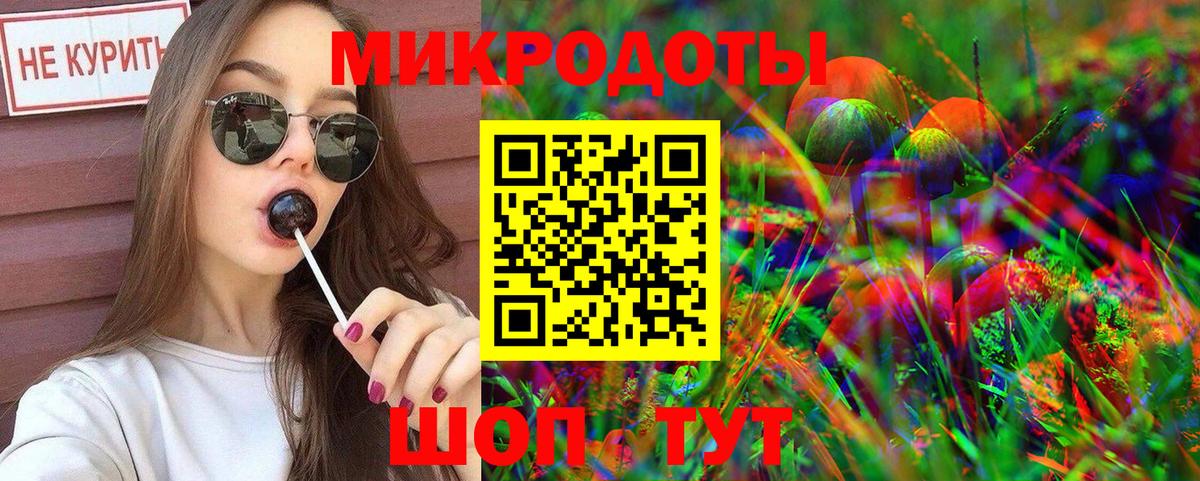 Псилоцибиновые грибы Psilocybine cubensis Новошахтинск