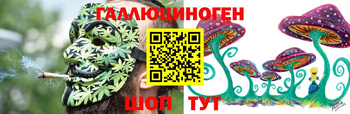 Новошахтинск  Галлюциногенные грибы мухоморы  Вход с VPN  Псилоцибиновые грибы Psilocybine cubensis 